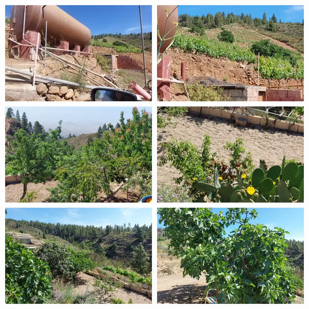 Grundstücke zum Verkauf in Granadilla de Abona