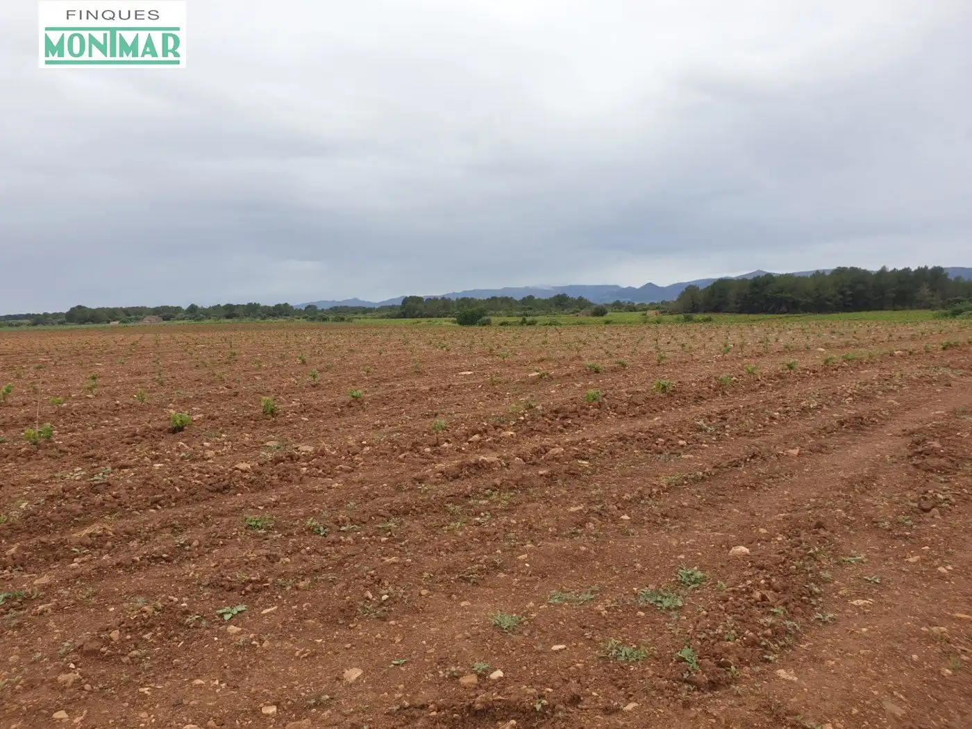 Finca rústica en venda en El Pla de Santa Maria