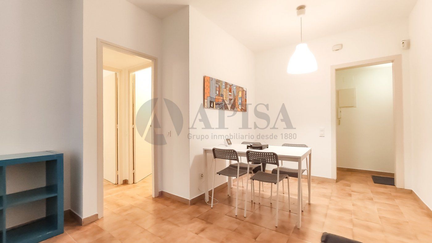 Pis de lloguer a  ramón berenguer el vell, El Raval