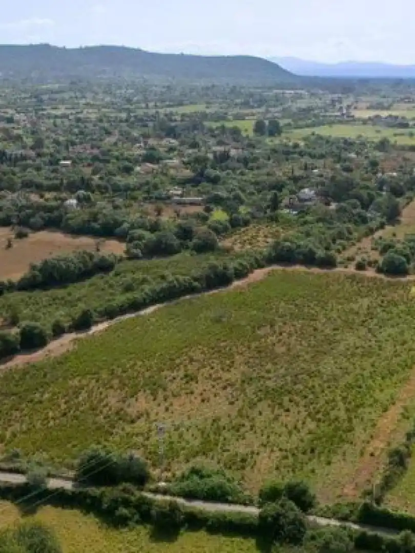 Terreny residencial en venda a Llucmajor - Camino d` Alacantí, imagen 8