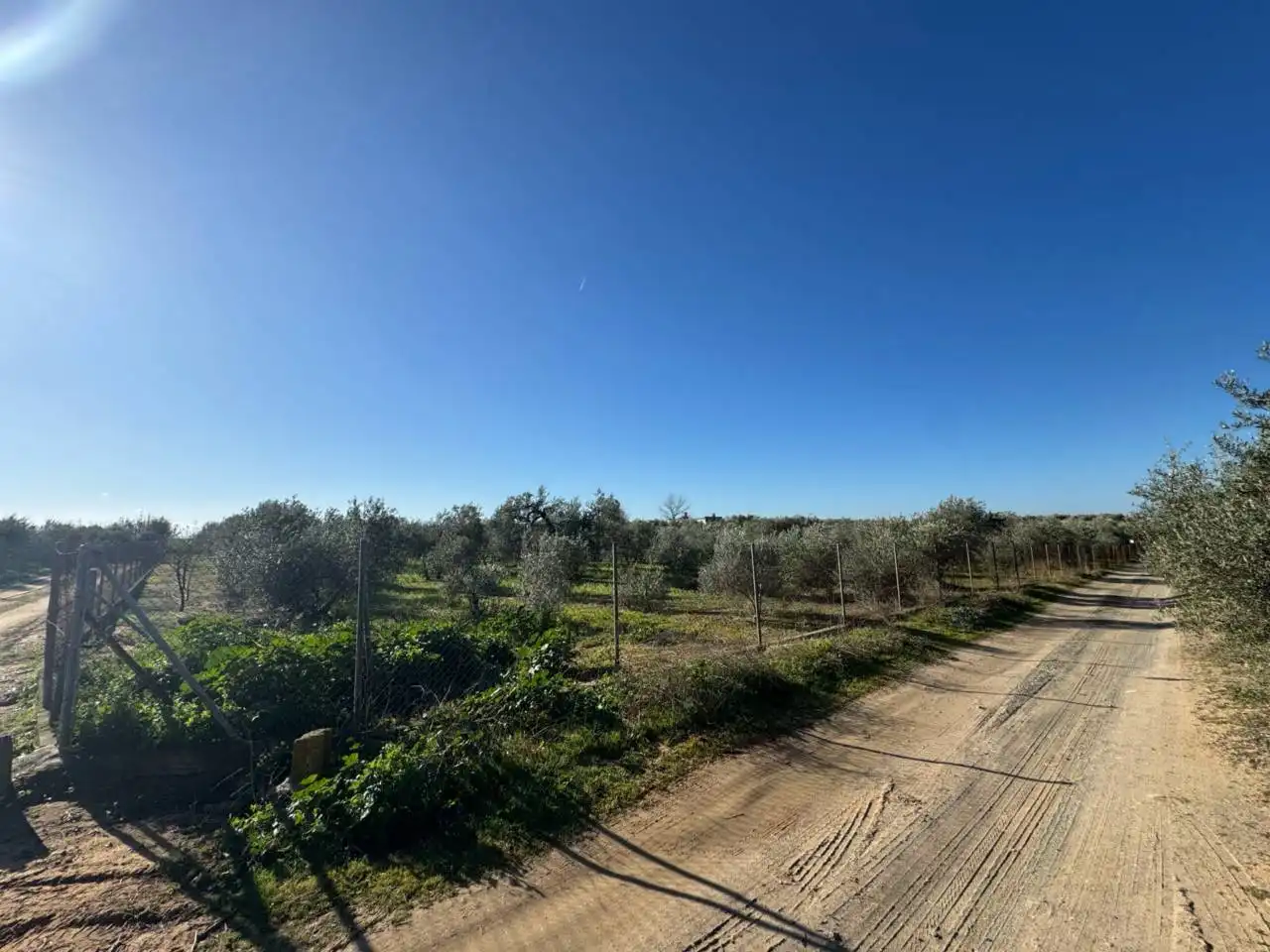 Terreni e lotti in vendita a Morón de la Frontera, imagen 4