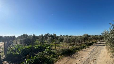 Photo 4 of Residential for sale in Morón de la Frontera, Sevilla