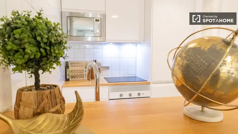 Wohnung mit Terrasse zur Miete in Centro, imagen 16