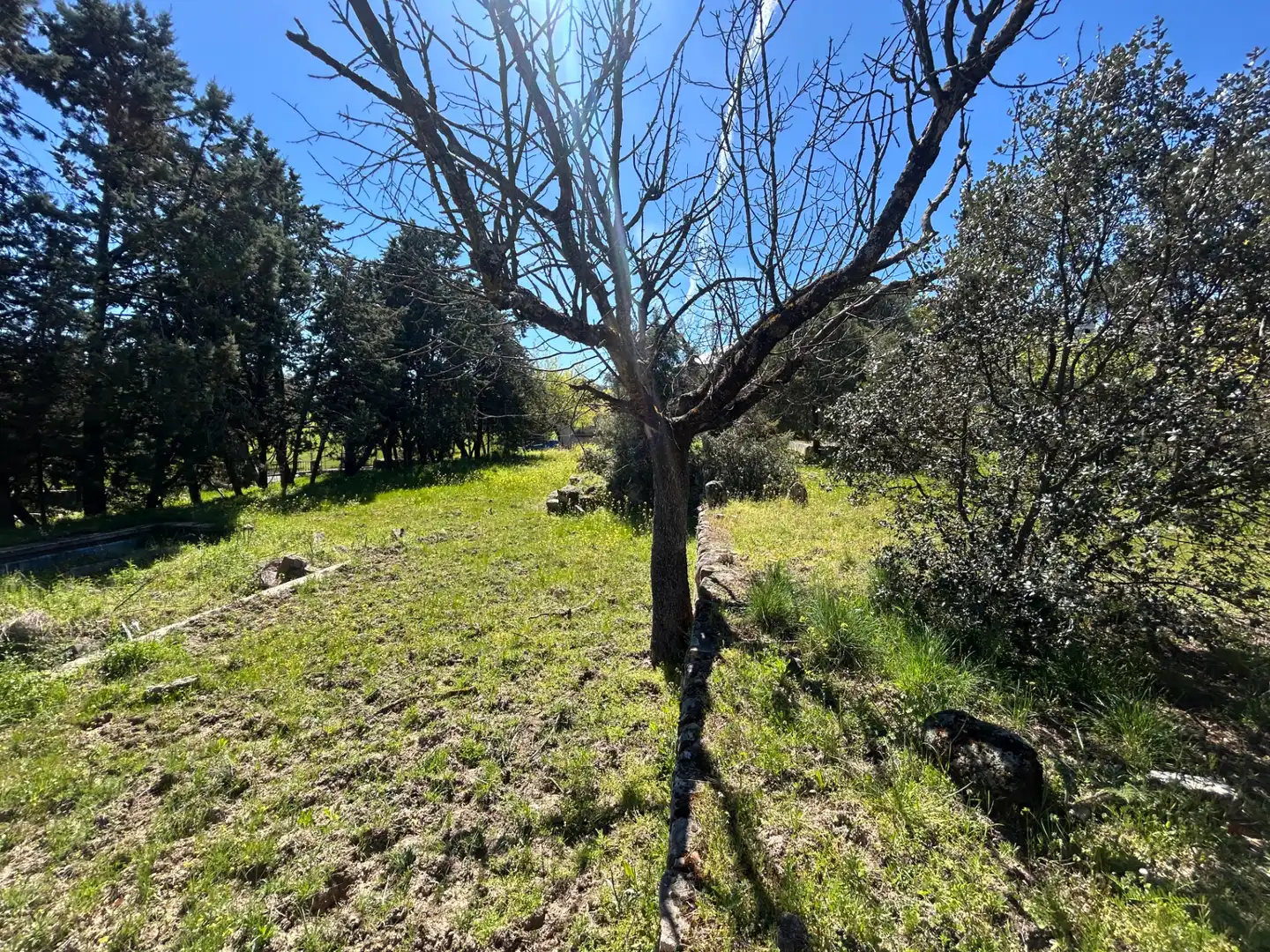 Terreno residencial en venta en Avenida de Pinares, imagen 11