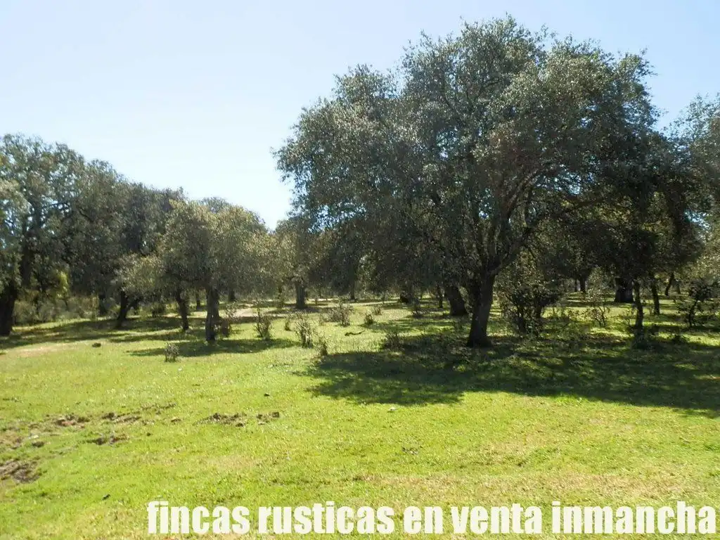 Terreno rustico in vendita a Ciudad Rodrigo, imagen 14