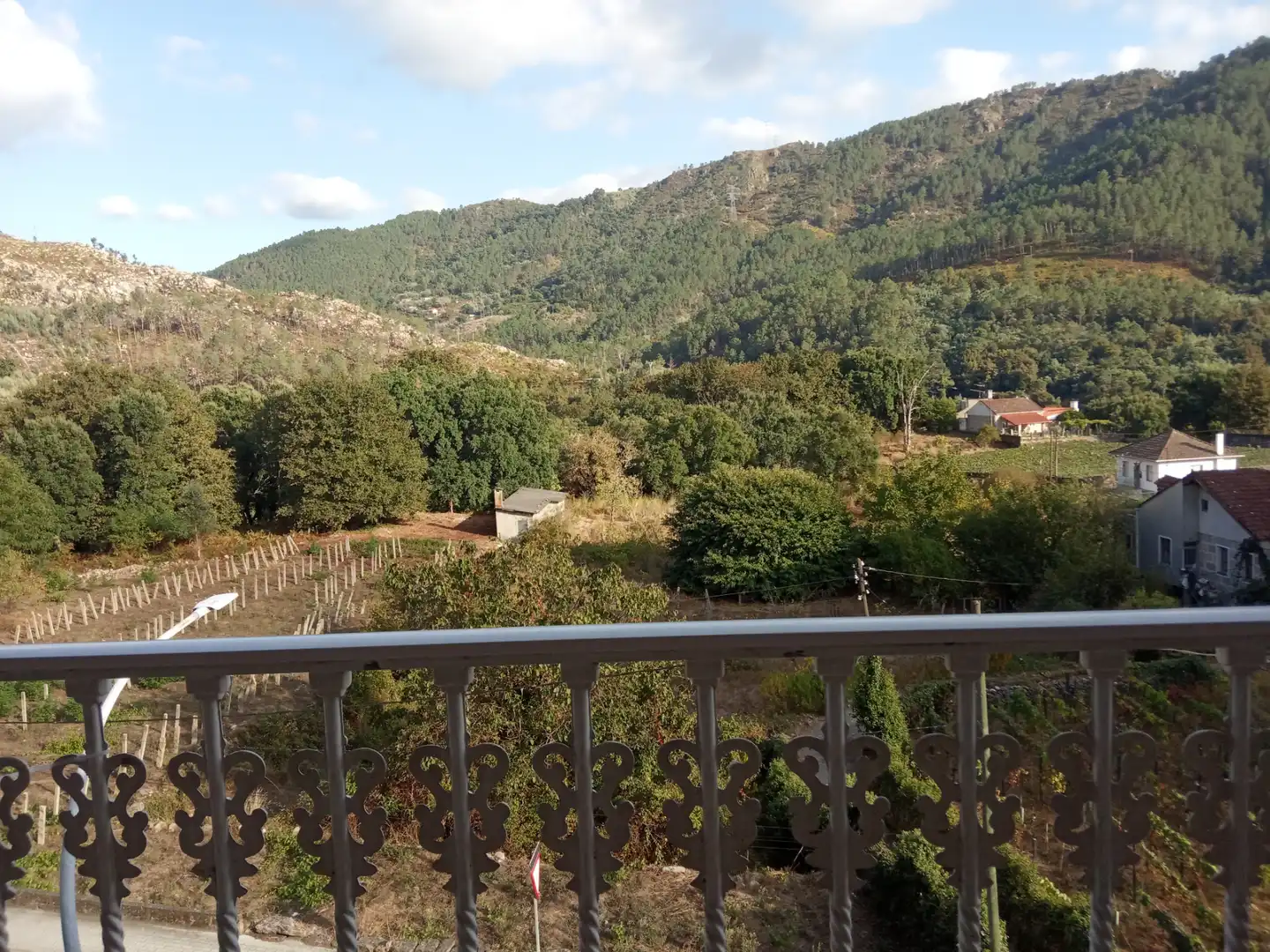 Vista exterior de Piso en venta en Ribadavia con Calefacción, Amueblado y Balcón