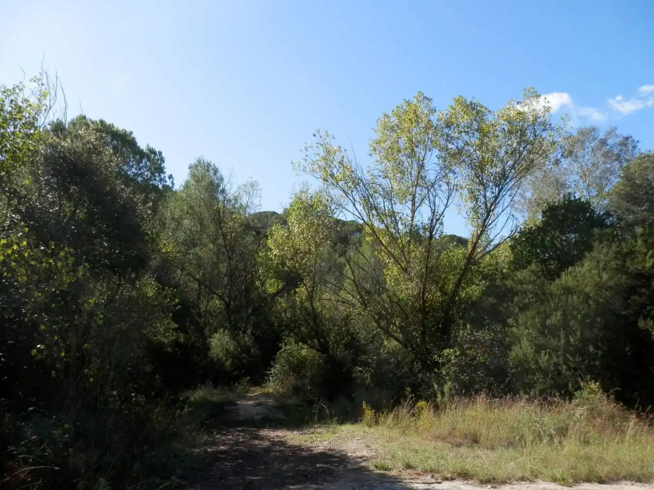 Land for sale in Vilanova del Vallès