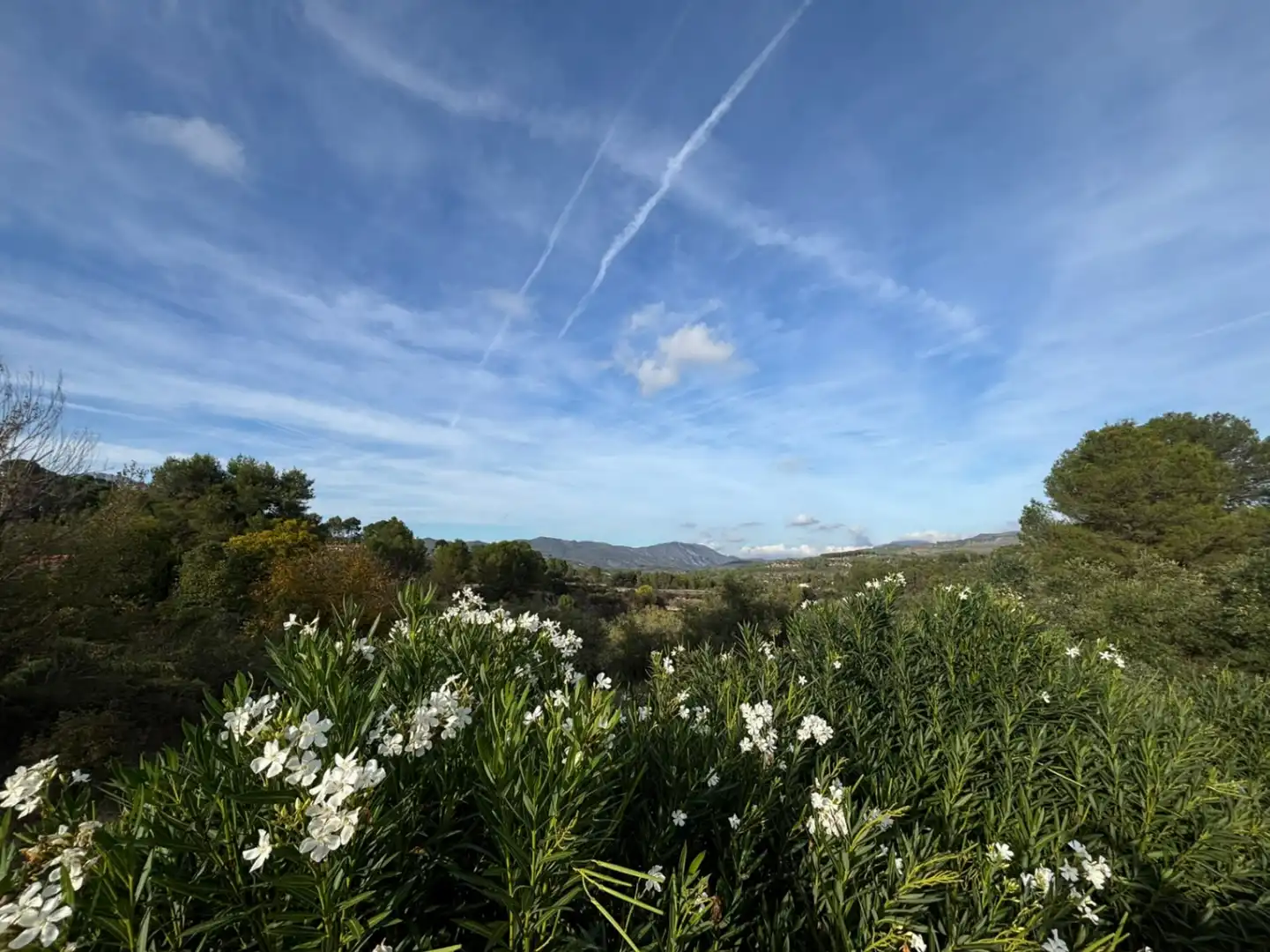 Vista exterior de Casa o xalet en venda en Planes, Alicante