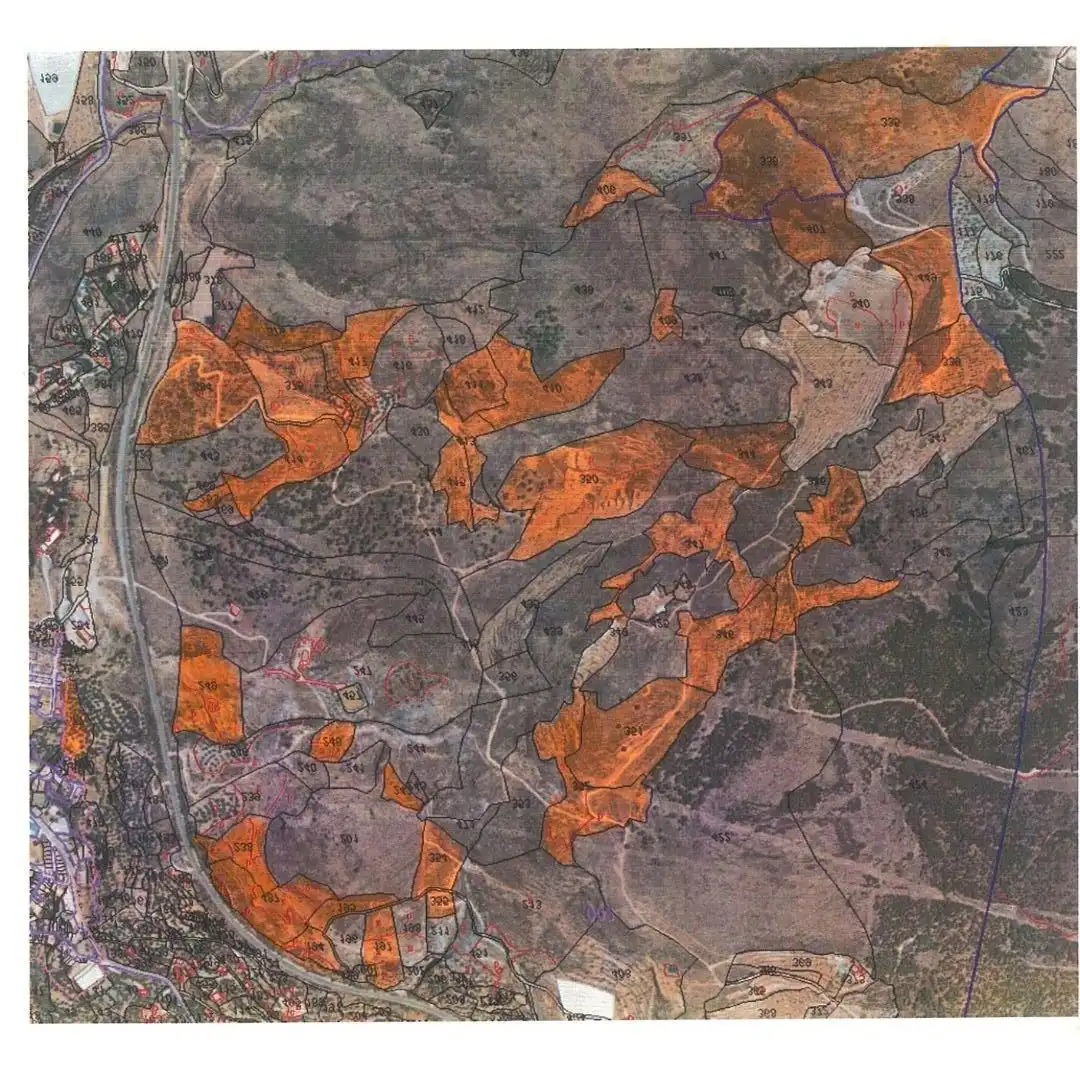 Terrain rustique à vendre à Alcolea, imagen 7