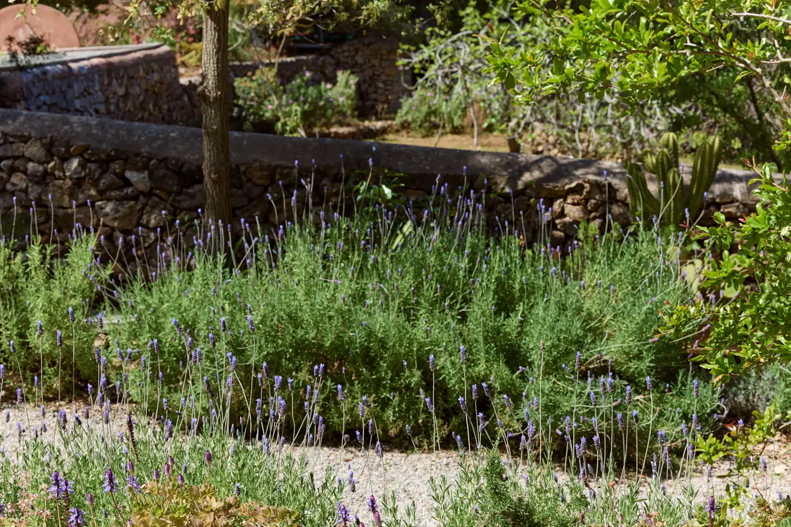 Jardí de Finca rústica en venda en Sant Joan de Labritja amb Aire condicionat, Jardí privat i Parquet