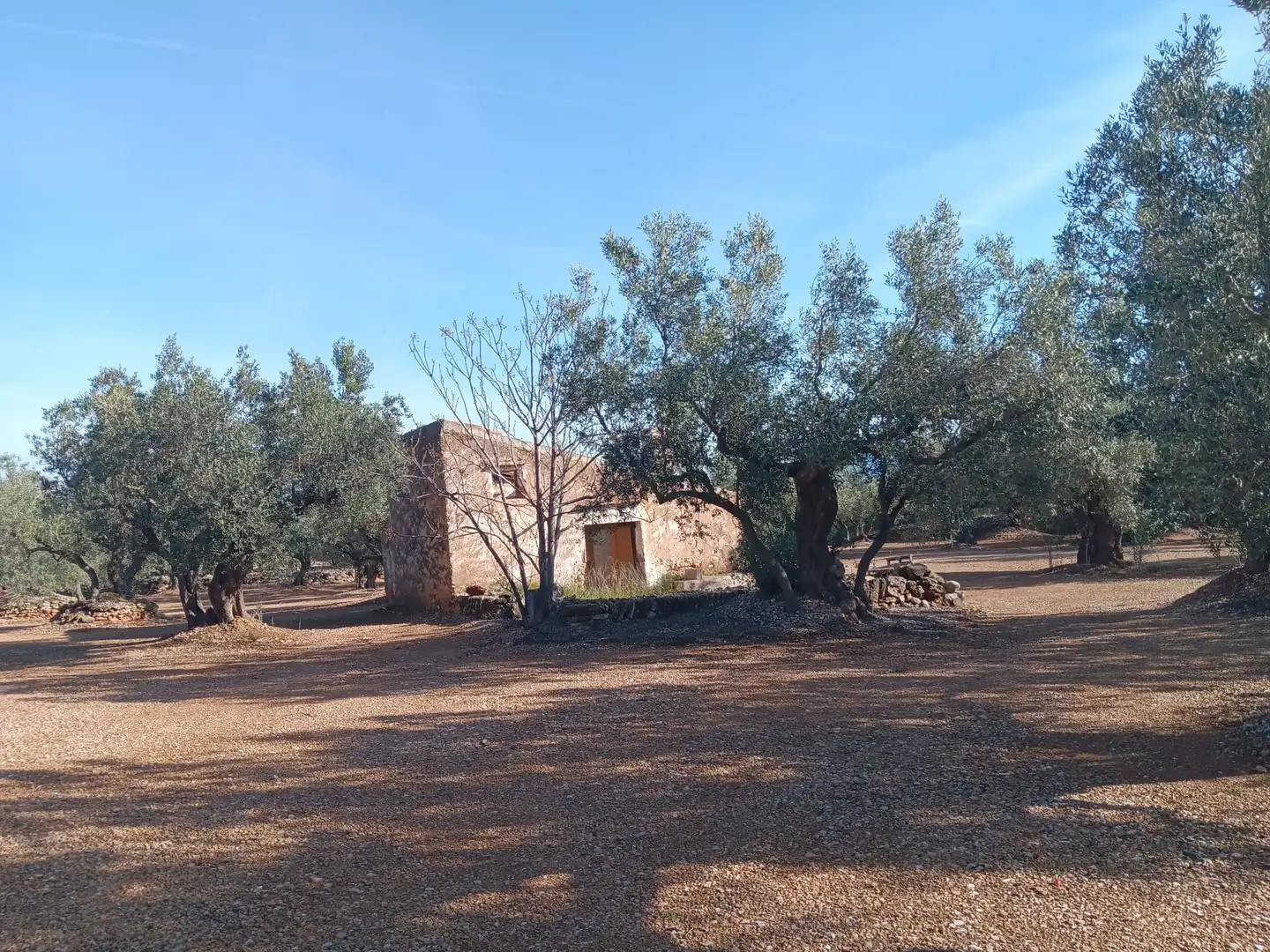 Lands and plots for sale in Roquetes, imagen 3