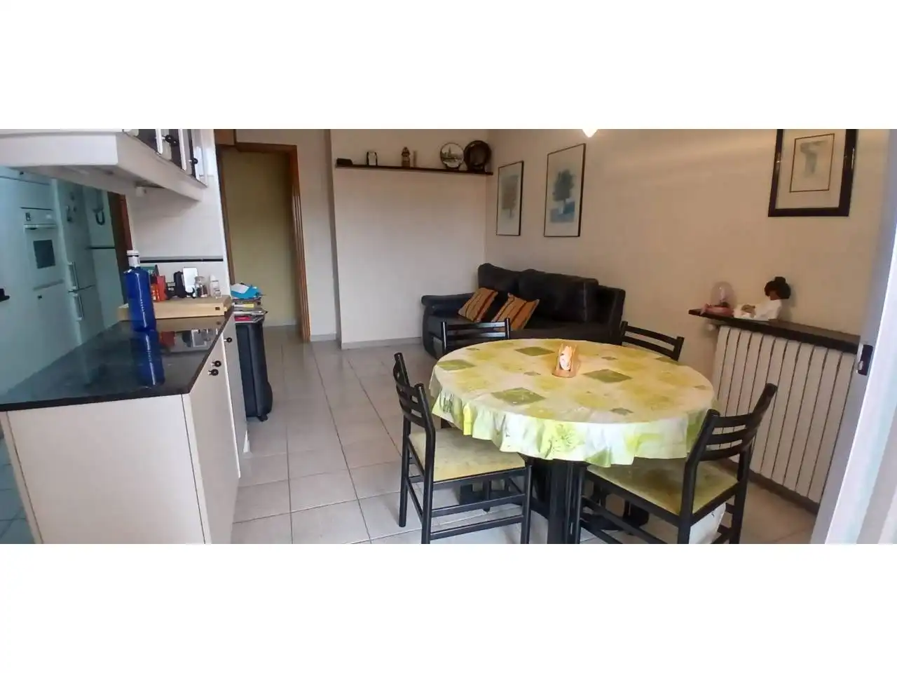 Houses for sale in Avenida Abad Marcet, Zona Esportiva