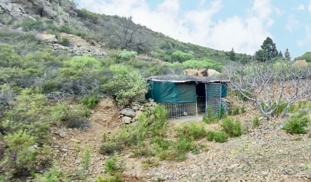 Finca rústica en venta en Granadilla de Abona