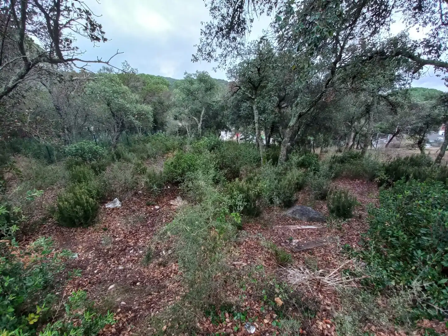 Residential for sale in Santa Cristina d'Aro
