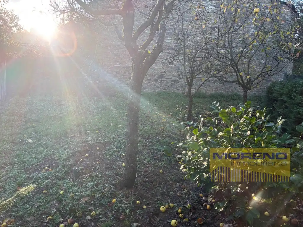 Garden of Country homes for sale in Láncara