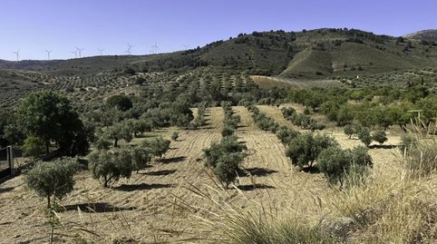 FINCA DE SECANO EN PADUL CON 5680 M2