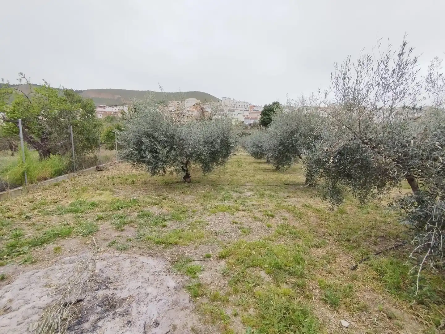 Terreni e lotti in vendita a Carretera Cenes de la Vega, imagen 28