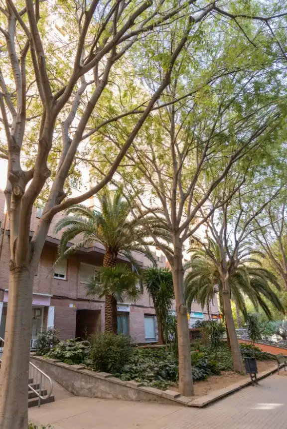 Ático de alquiler en Carrer de Llança, 54, La Nova Esquerra de l'Eixample