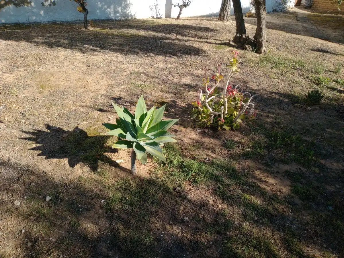 Casa en venda a Villanueva de Algaidas, imagen 93