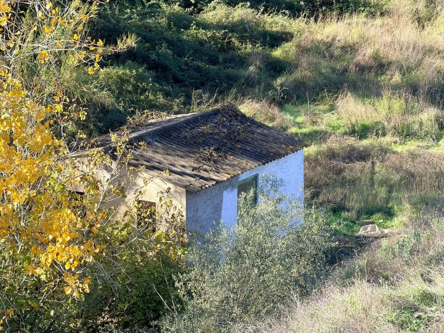 Terreno residenziale in vendita a Albaida, imagen 4