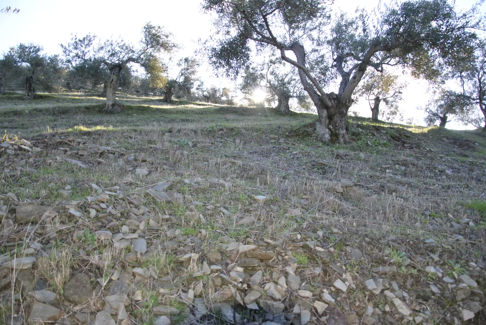 Terreno en venta en La Pesga 