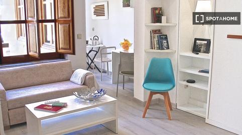 Photo 3 of Study to share in Barrio del Centro, Salamanca