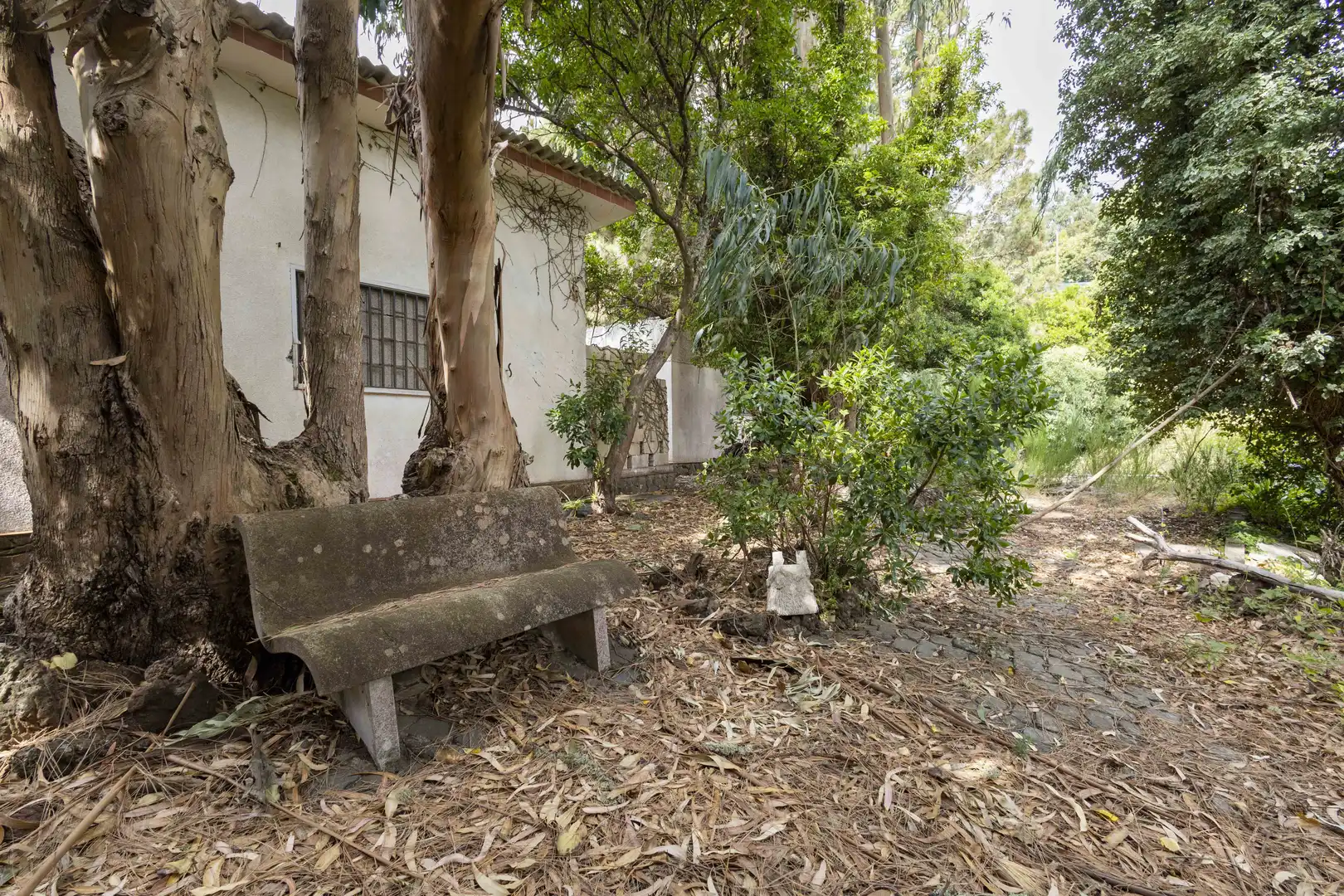 Jardín de Casa o chalet en venta en El Rosario