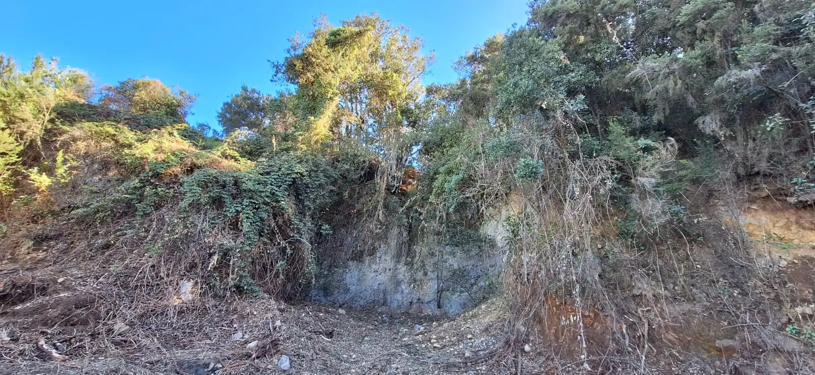 Finca rústica en venta en Los Realejos con Jardín privado y Terraza