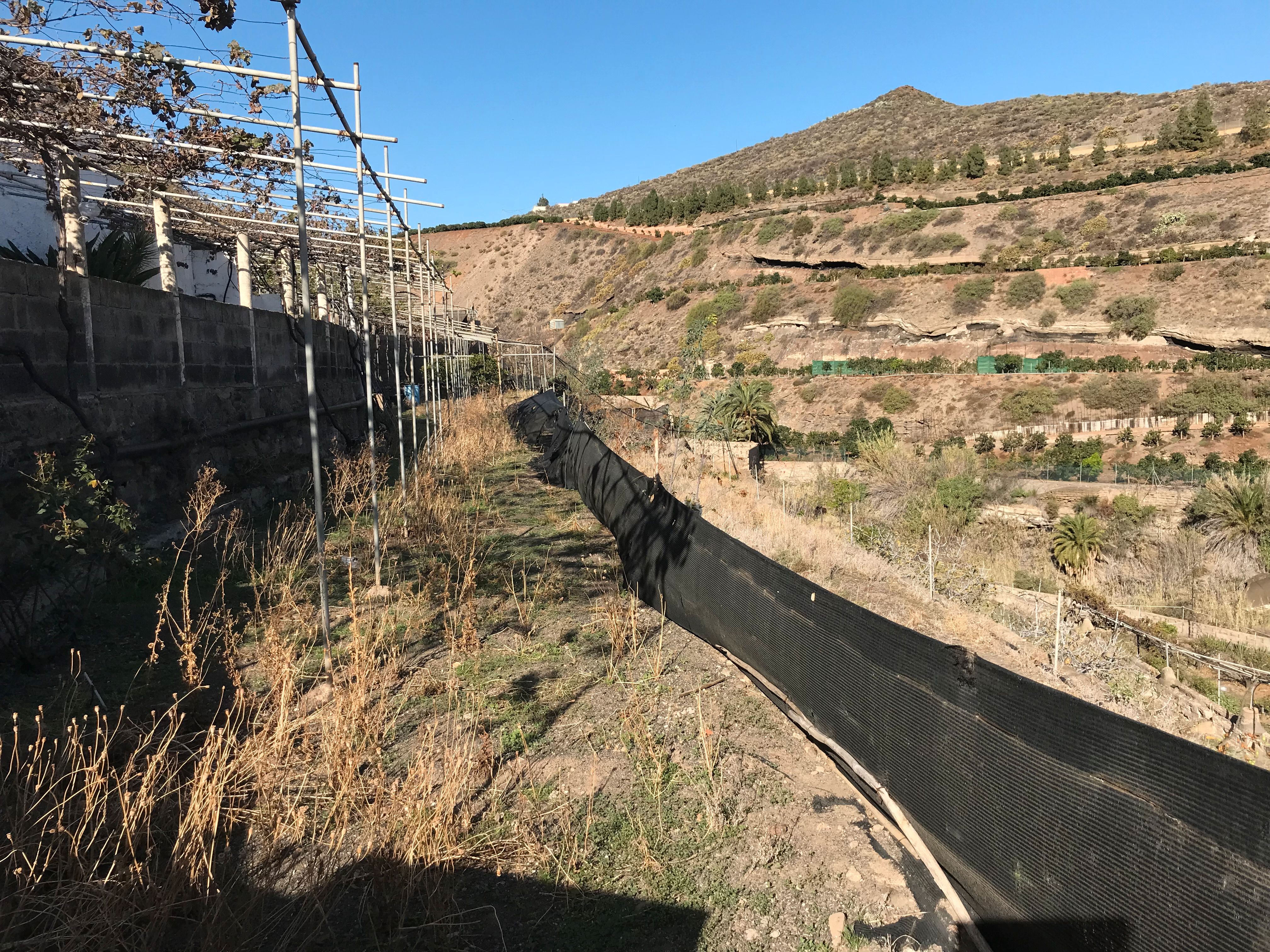 Jardí de Finca rústica en venda en Telde amb Jardí privat i Terrassa