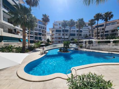 Vista exterior de Pis en venda en Torrevieja amb Terrassa, Piscina i Moblat