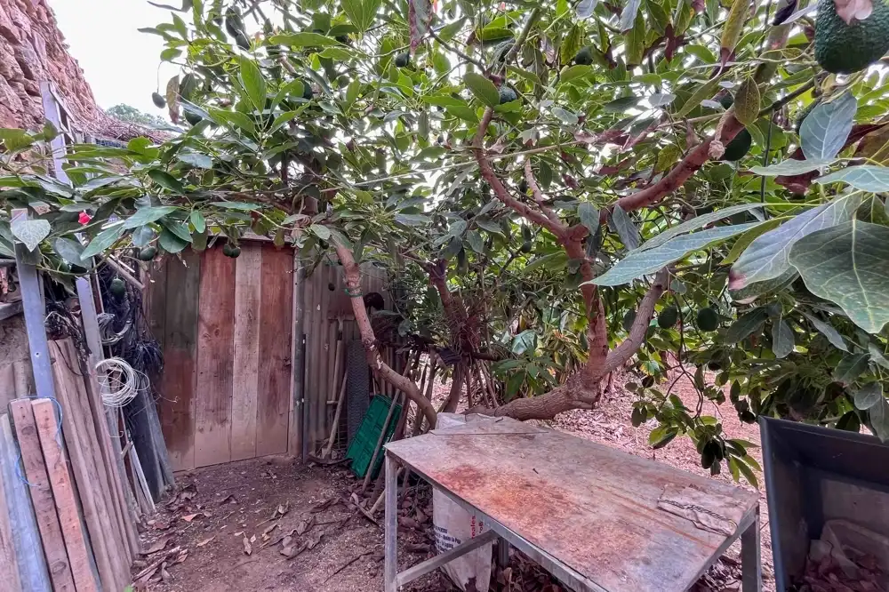 Finca rústica en venta en Vallehermoso con Amueblado