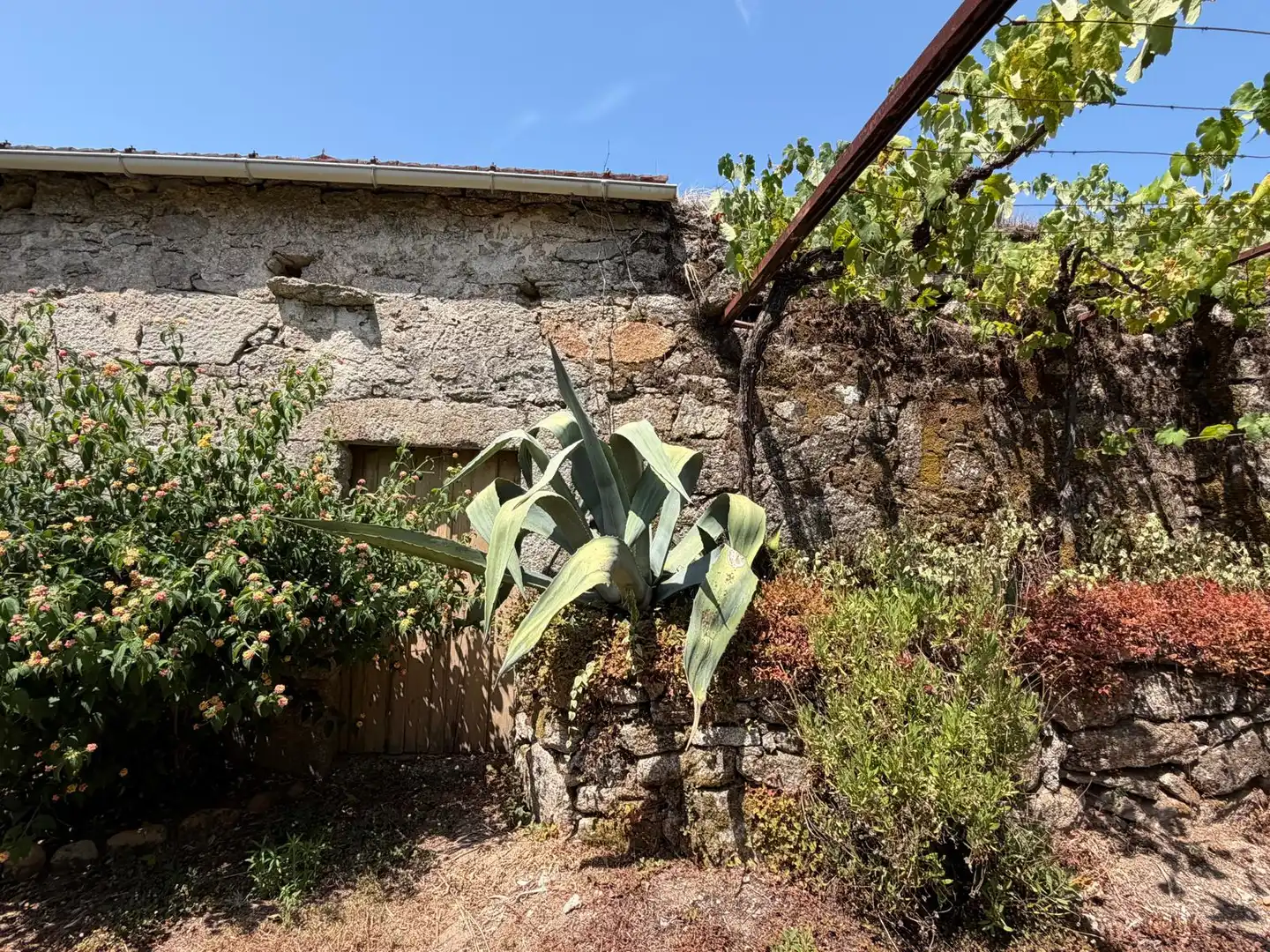 Vista exterior de Casa o xalet en venda en Salvaterra de Miño amb Jardí privat i Parquet