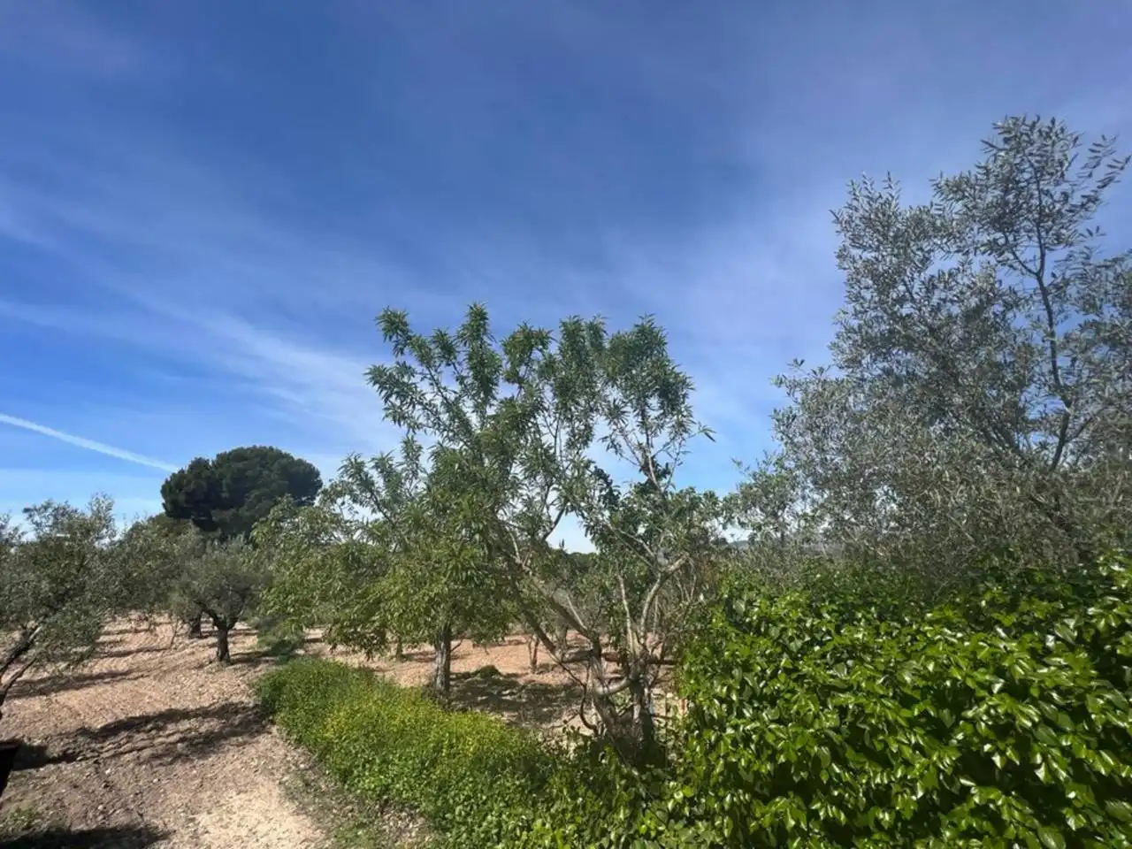 Chalet con jardín en venta en Calle Poligono, imagen 150