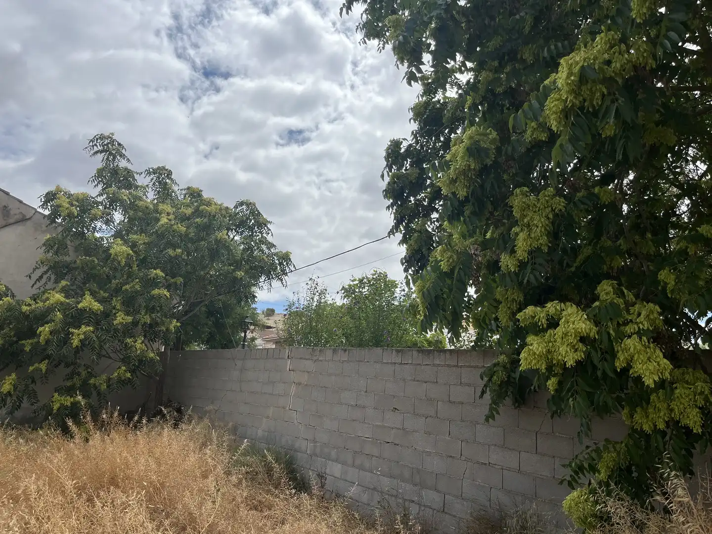 Industrial land for sale in La Malahá