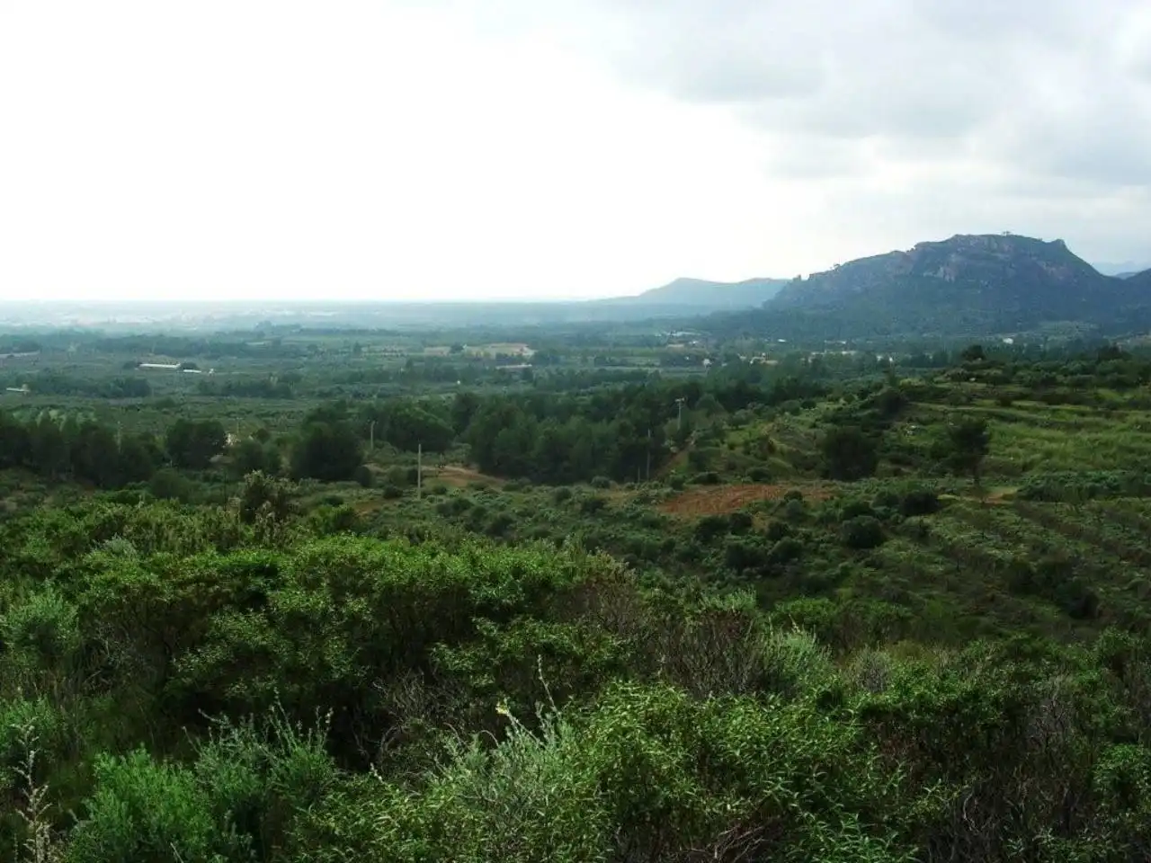 Terreno rustico in vendita a Calle MESTRAL, imagen 8