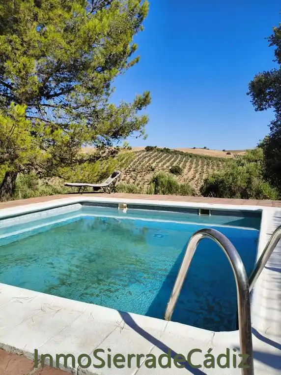Piscina de Finca rústica en venta en Zahara con Jardín privado, Terraza y Trastero