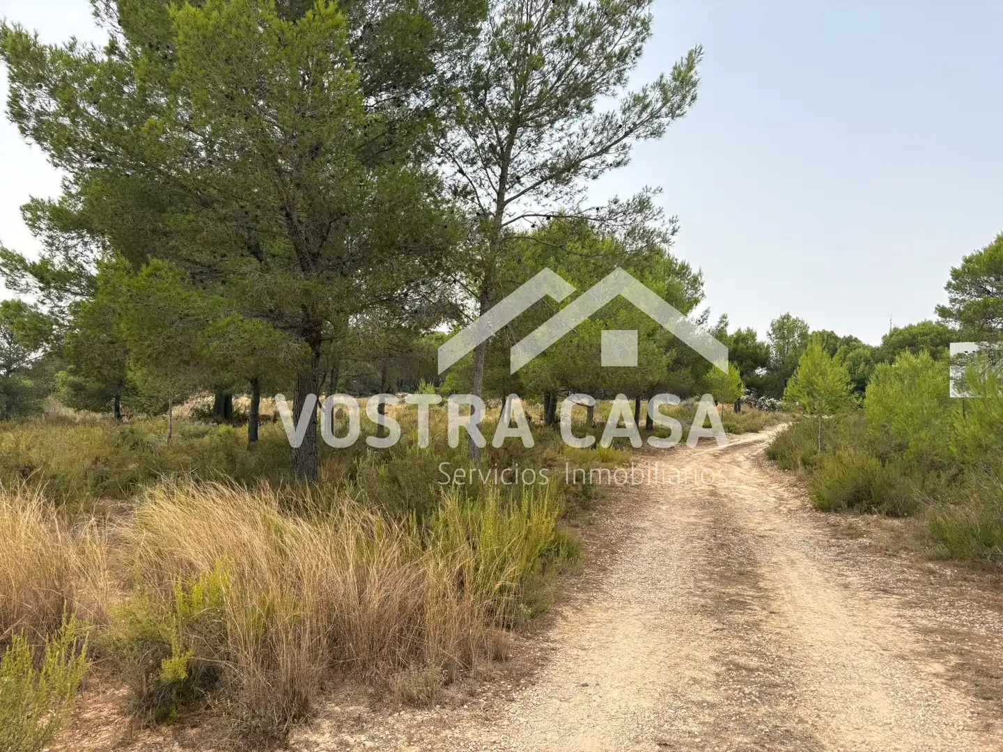 Terreno rustico in vendita a CL BADAJOZ, imagen 10