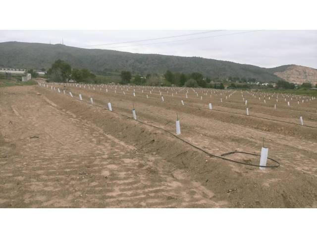 Terreno en Venta en Calle XARCOS SECS en Monte Real