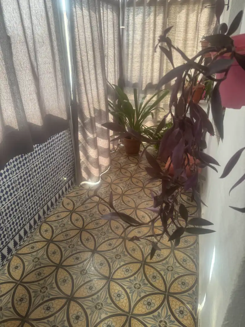 Terrace of Flat for sale in Sevilla  with Air Conditioner, Terrace and Storage room