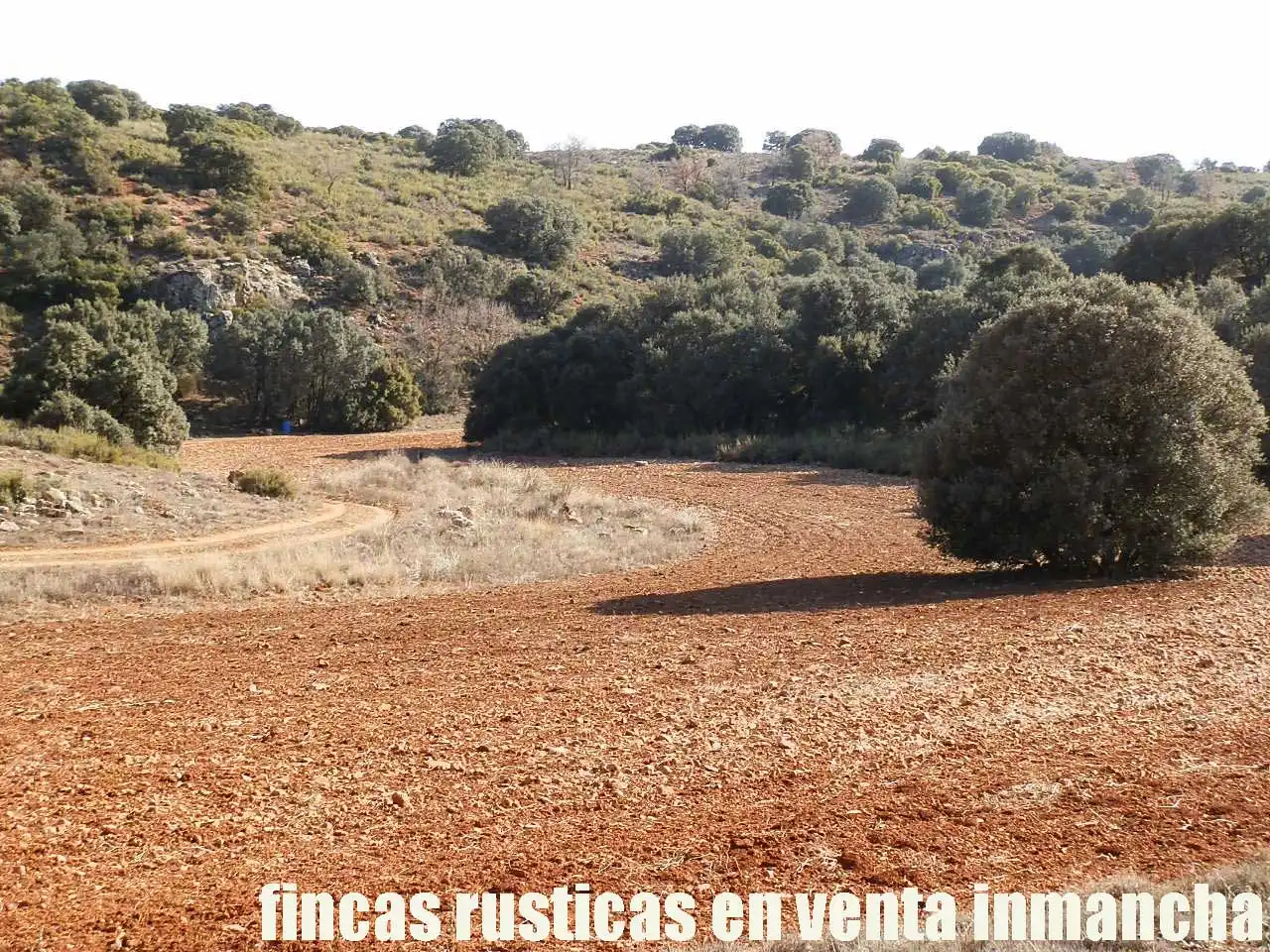 Terreno rustico in vendita a Ruidera