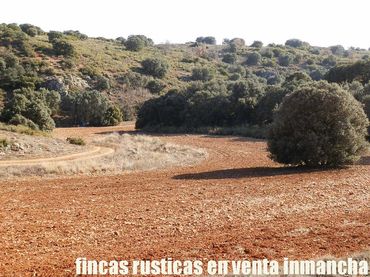 Terreno rustico in vendita a Ruidera