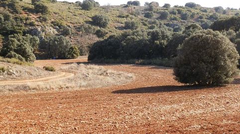 finca en venta 281 has. caza menor en Ruidera (C.Real)