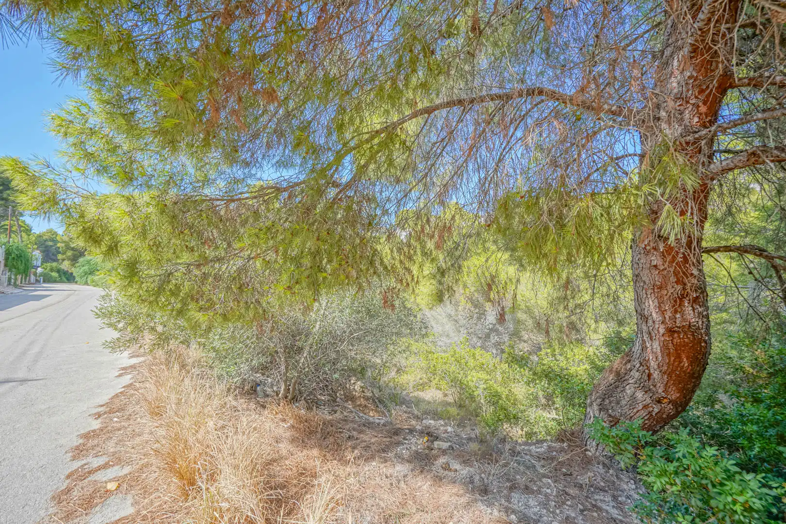 Terreny rústic en venda a Benissa pueblo, imagen 5