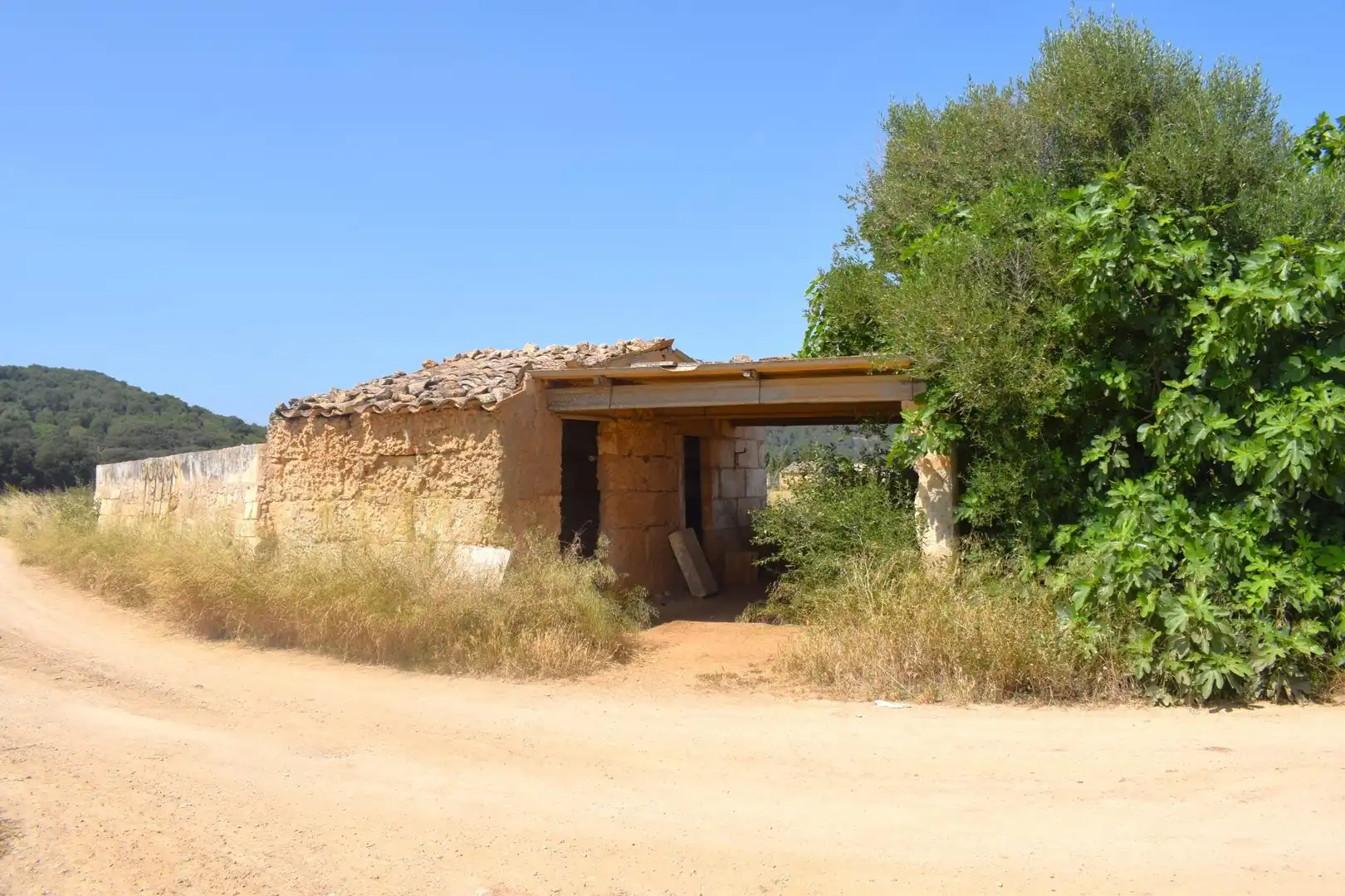 Rural land for sale in Sa Pobla, imagen 2
