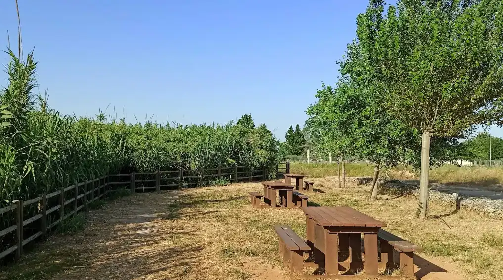 Außenansicht von Residential zum Verkauf in Alzira