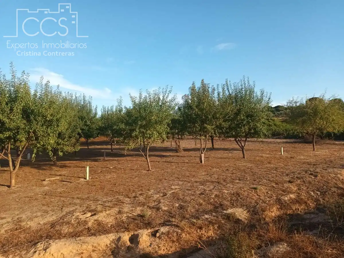 Finca rústica en venda en Bollullos Par del Condado amb Jardí privat i Moblat