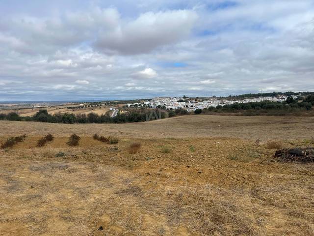 Terreno en Venta en Bonares