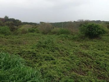 Terreno rustico in vendita a Periurbano Este - Campiña