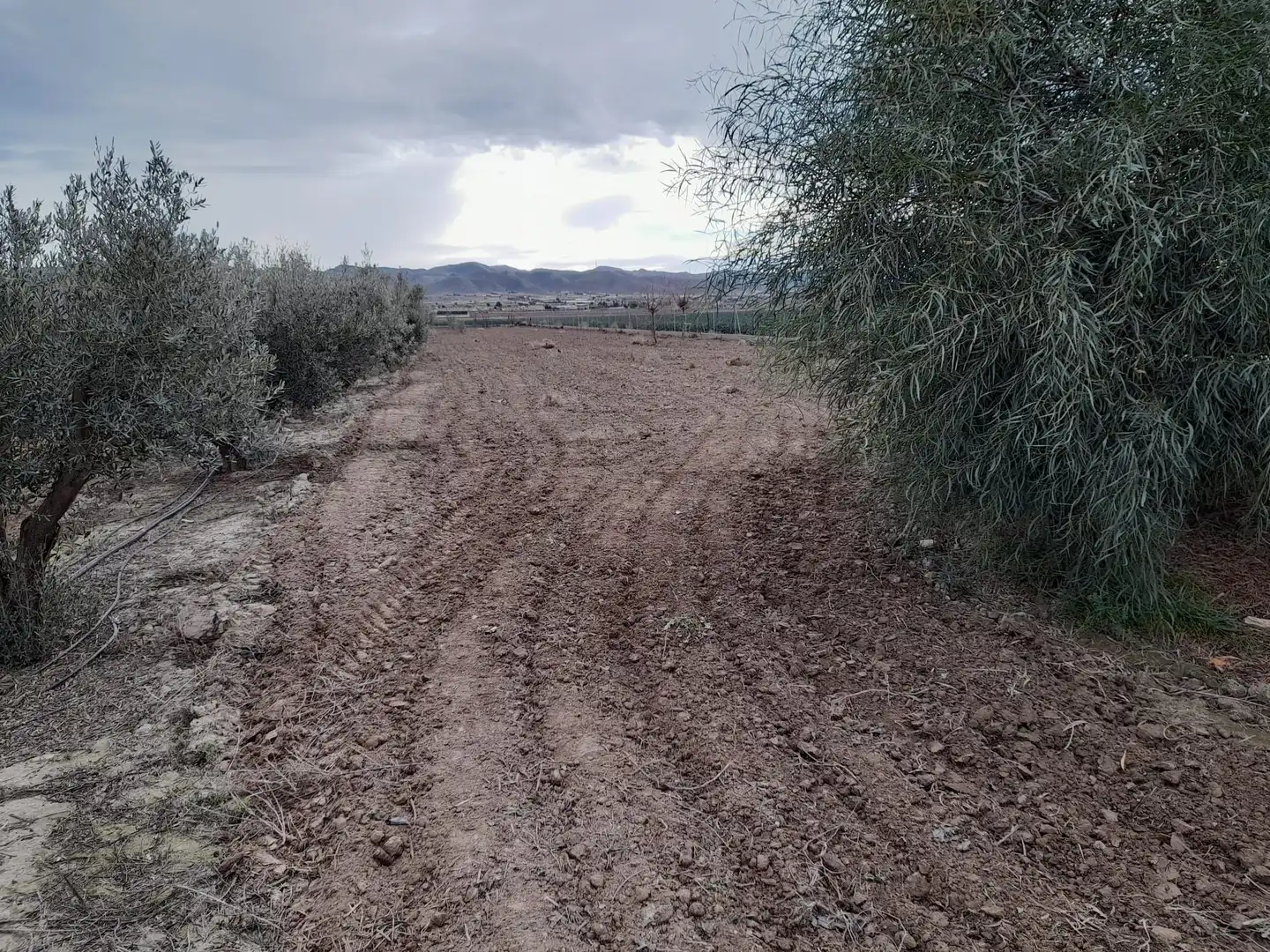 Residential land for sale in Pedanías Sur, imagen 2