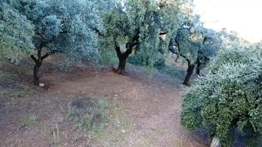 Terrenos y solares en venta en Dehesa 8, imagen 12